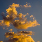 20080901-DSC_9074.jpg