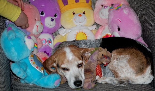 [beanbears%255B2%255D.jpg]