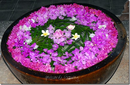 pot of flowers pot of flowers