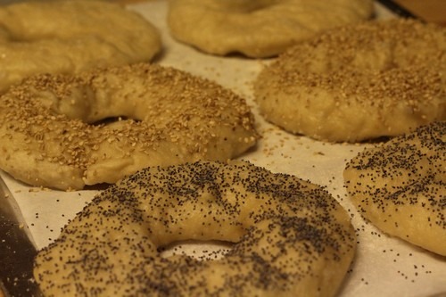 [sourdough-bagels0006%255B5%255D.jpg]