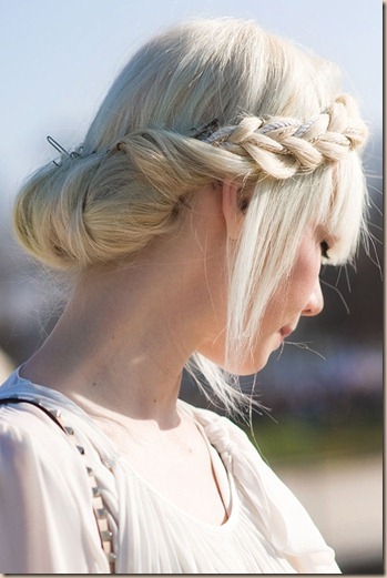 ErinFetherstonBraid