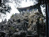 China 2001