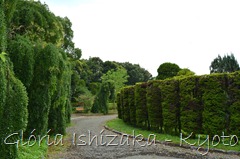 Glória Ishizaka -   Kyoto Botanical Garden 2012 - 101