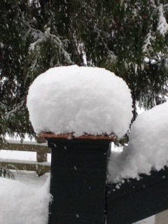 [snow%2520on%2520rail%255B6%255D.jpg]