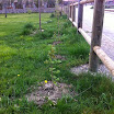 2014-04-12-plantas-sotosalbos.jpg