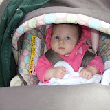 At the Park