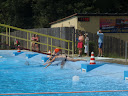 P7050860.JPG