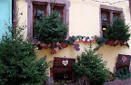 Alsace, 7 et 8 déc 2011 Slideshow