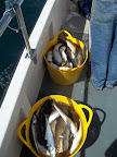 Image3.jpg