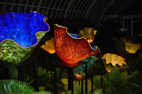 DSC00271.JPG