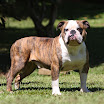 Bubba06.jpg