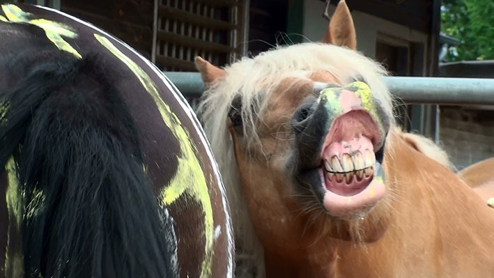 [20130723173643-%25285%2529%255B2%255D.jpg]