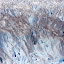  &ndash; Glaciar Perito Moreno - Patagonia Argentina