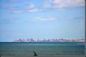 DSC_6600