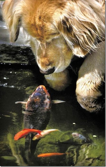 viral-picdump-f55af9