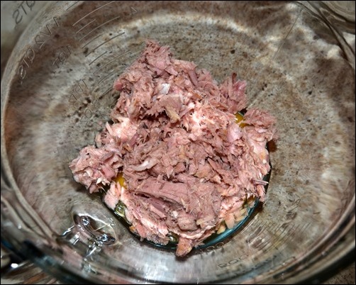 two cans of tuna two cans of tuna