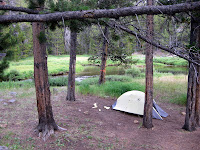 IMG_0477.JPG Photo