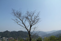 IMG_5546.JPG