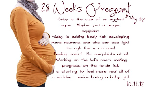 7 months in weeks baby