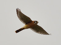 HBR_2012Dec28_002.jpg