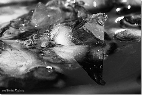 water_20121216_icy1