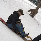 Tessa Thompson's Gallery