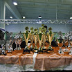 2011-07-12_16-29-07.jpg