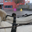 BILD0020.JPG