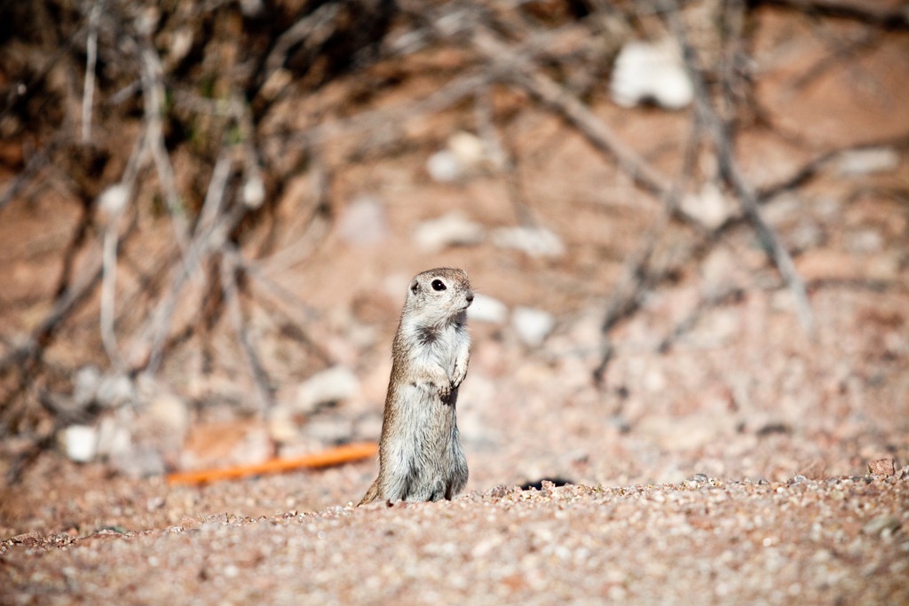 [20111231-IMG_0143%255B4%255D.jpg]