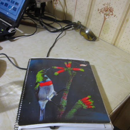 IMG_1710.JPG