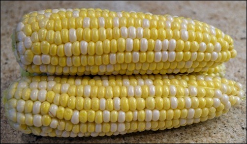 local sweet corn local sweet corn