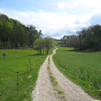 IMG_5046.JPG