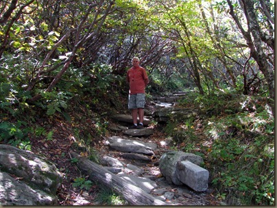 trail to Craggy Gardens overlook