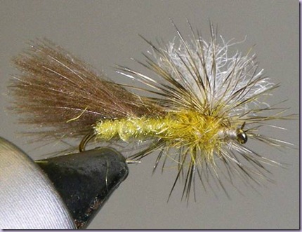 clip_image026 clip_image026