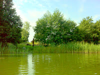 DSC04555.JPG Photo