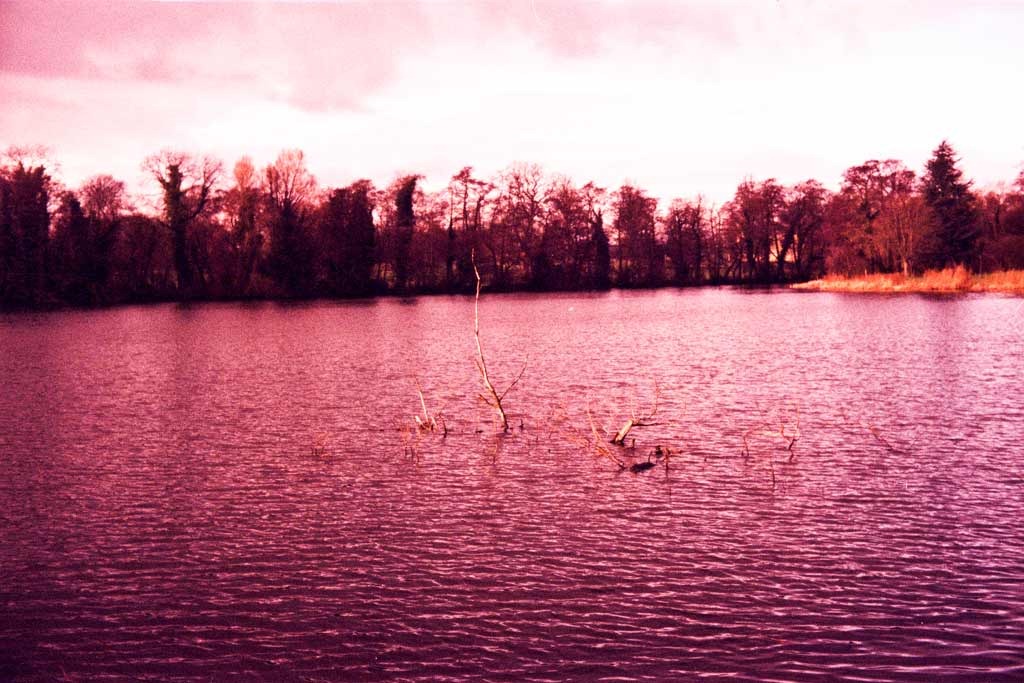 [Twig-in-the-Lake---XPRO3.jpg]