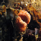 IMG_5523.JPG