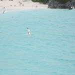 IMG_2365.jpg