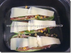 IMG_1554 IMG_1554