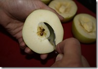 IMG_5781 IMG_5781