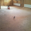 SNC00097.jpg