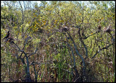 02f - Shark Valley - Ahinga Rookery