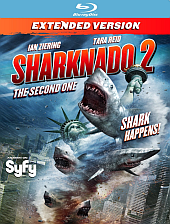 shark shark