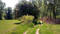 Morava 002.jpg Photo Morava 002.jpg Photo