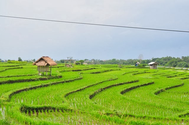 [DSC_0104%255B3%255D.jpg]