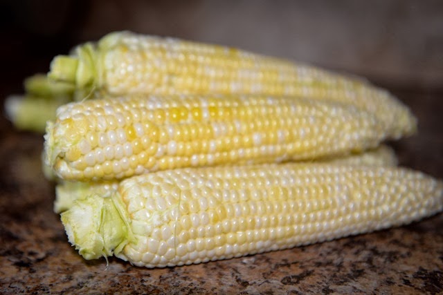 [DSC_4699%255B4%255D.jpg]