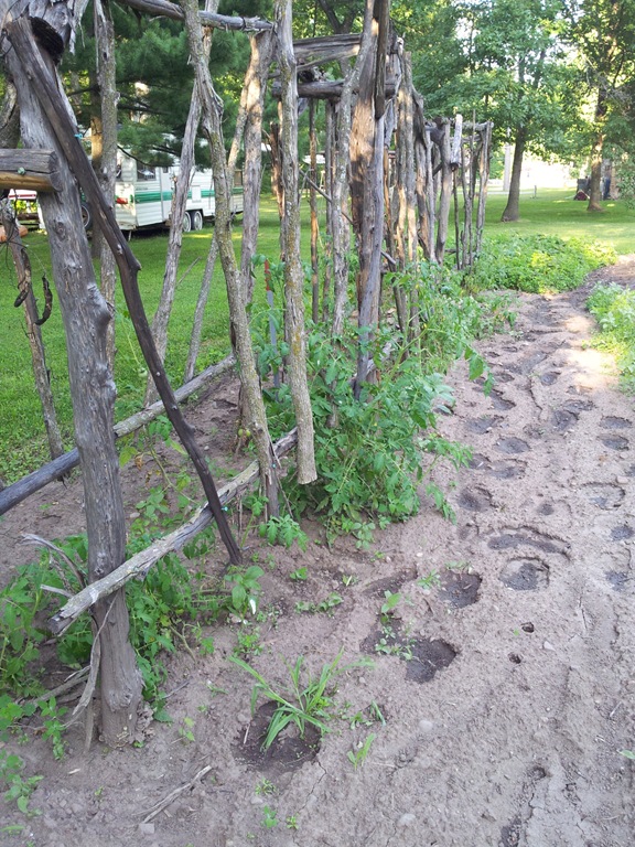 [2012-07-10%252018.47.58%255B3%255D.jpg]