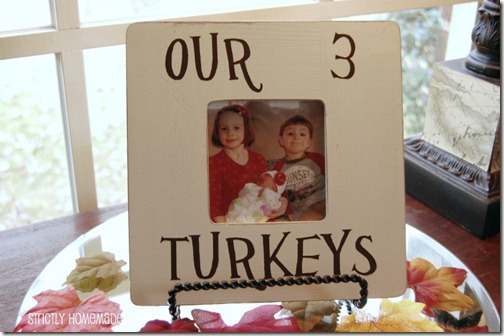 Our 3 Turkey Frame
