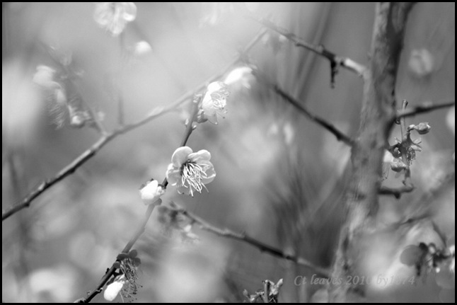 rl_395 rl_395