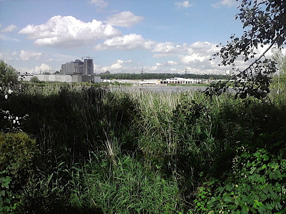 P200811_15.20.jpg
